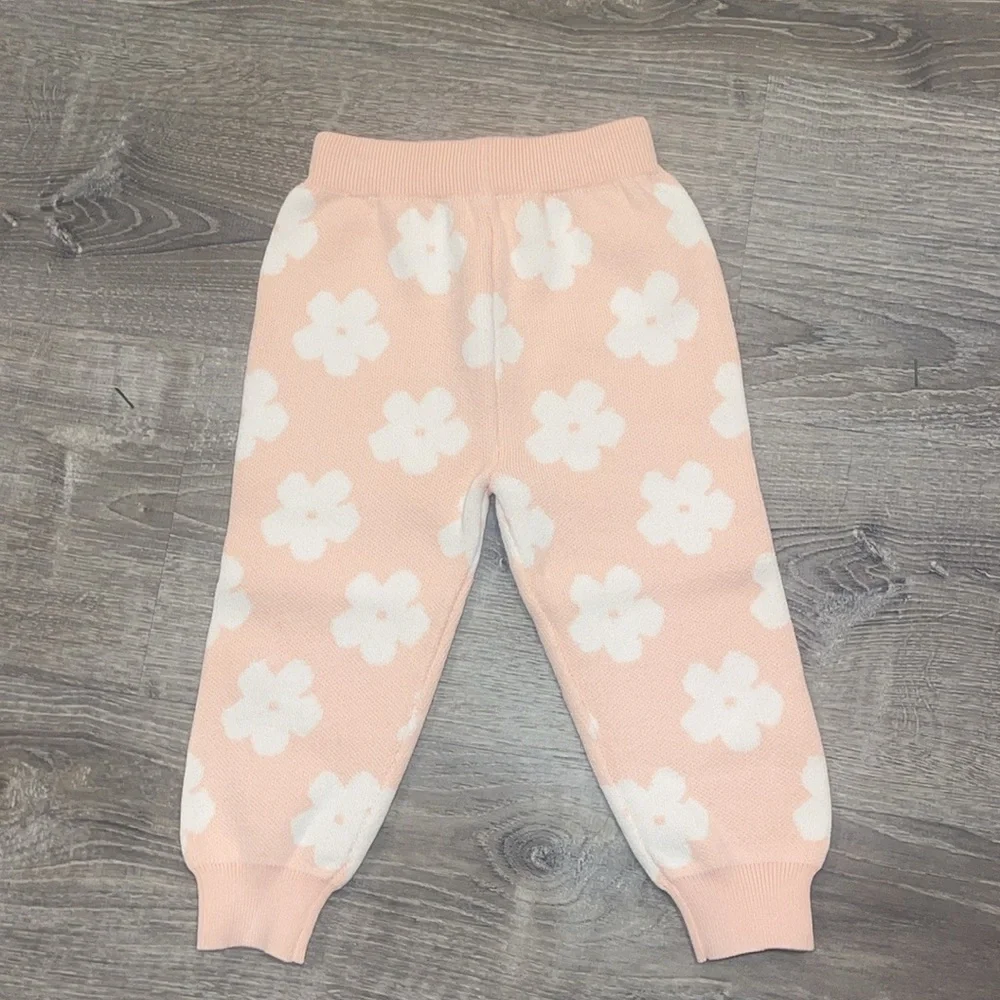 NWT Pink and white flower two piece knit set 18 months